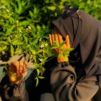 Image of Live cam muslim girl listing image